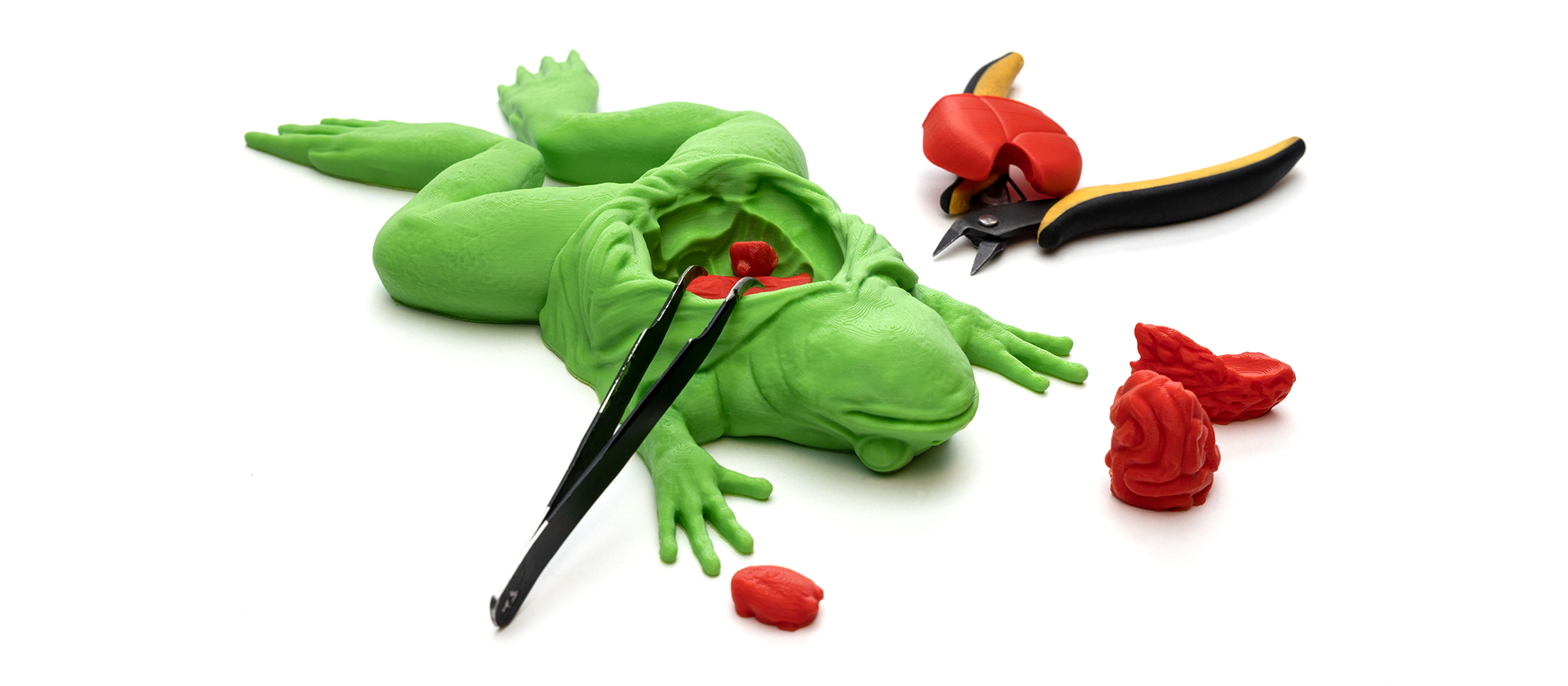 Tips on Using a 3D Printer in a Classroom Zaxe Blog