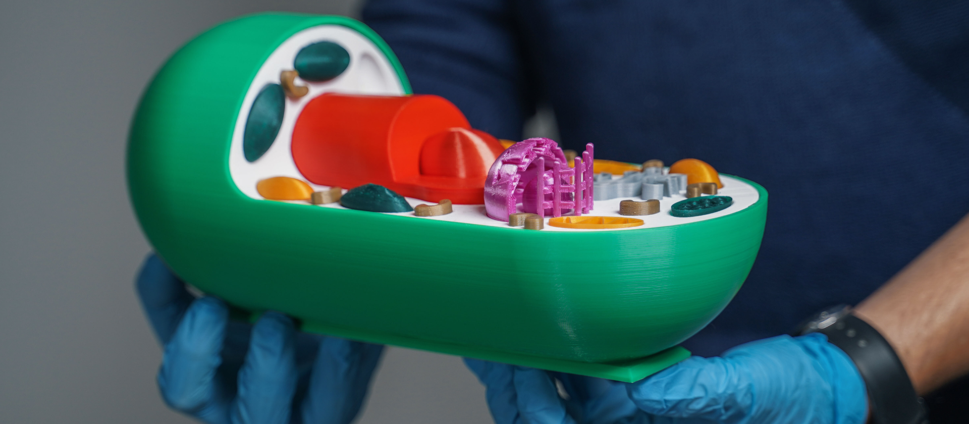 Tips on Using a 3D Printer in a Classroom - Zaxe Blog